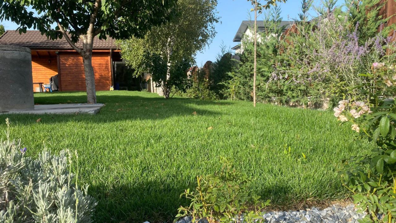 Amenajare gradina - Bucium