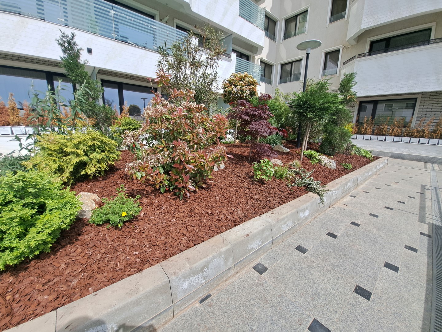 Consultanta Profesionala<br>