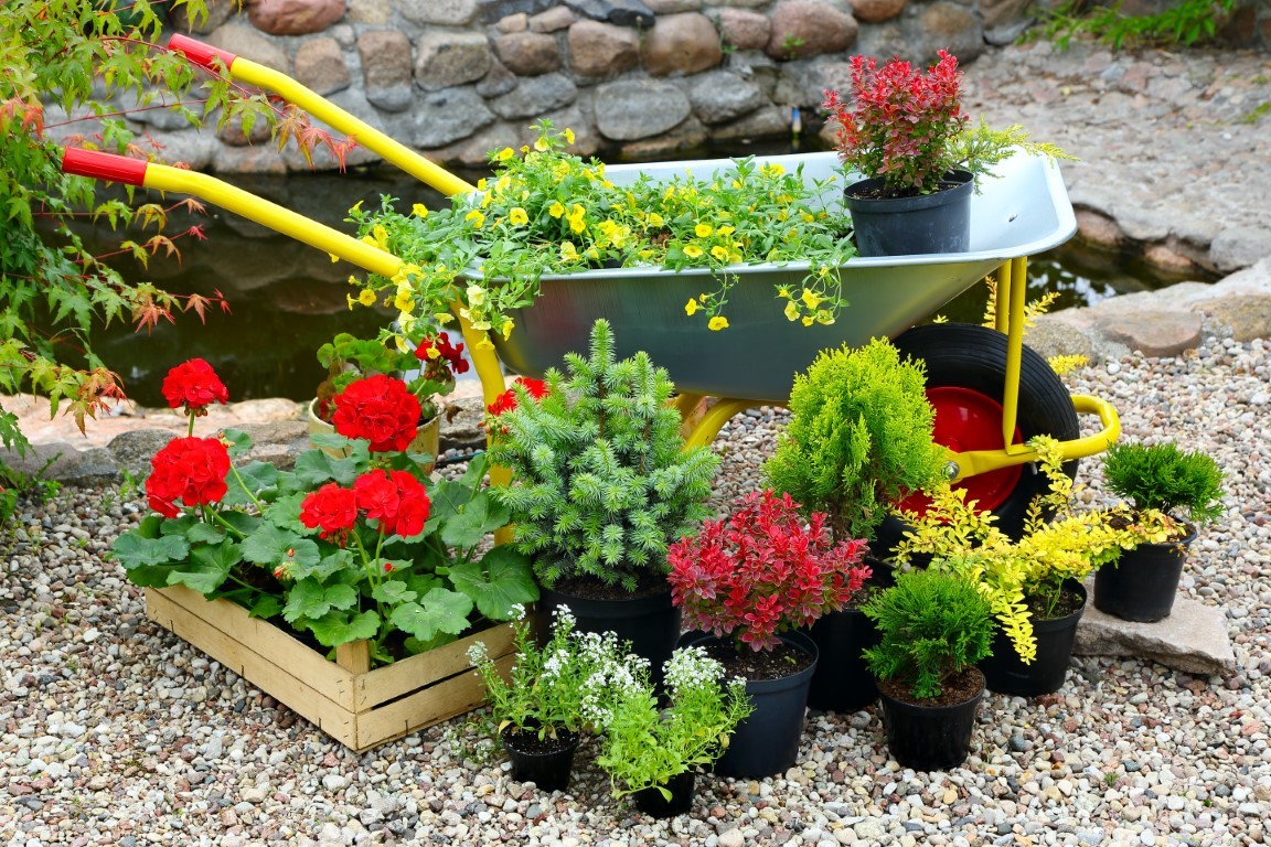 Descopera Idei Unice<br>